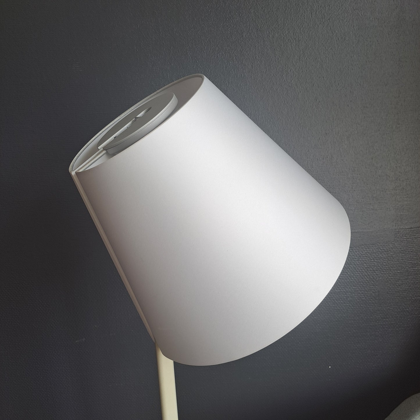 Artemide, Melampo lattiavalaisin