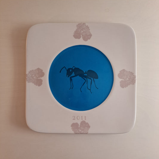 Arabia Flora & Fauna, 2011