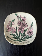 Arabia Botanica Maitohorsma seinälautanen – Esteri Tomula