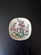 Arabia Botanica Maitohorsma seinälautanen – Esteri Tomula