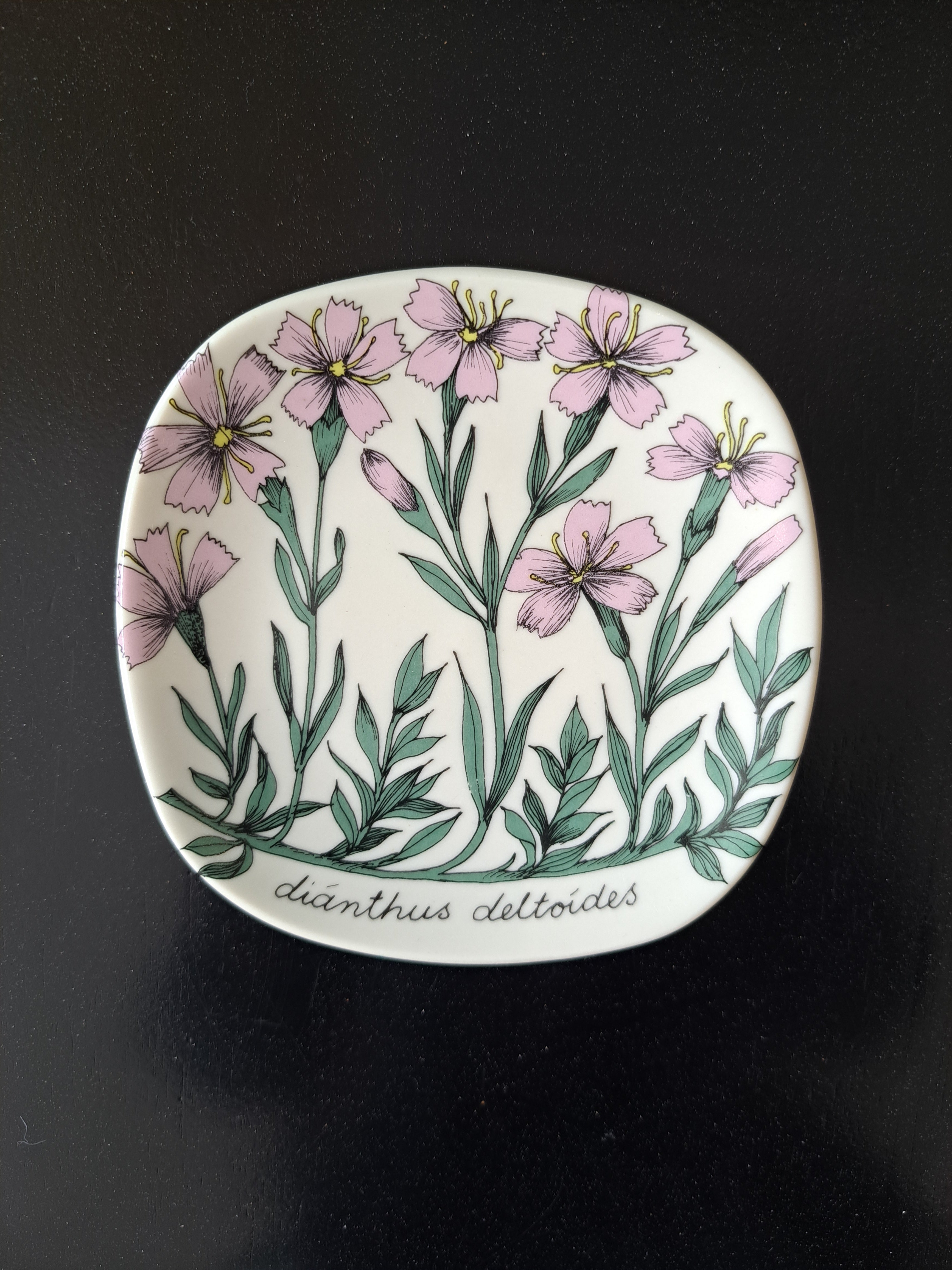 Arabia Botanica Ahdinparta -seinälautanen – Esteri Tomula