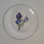 Vintage lasilautaset, 5 kpl