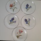 Vintage lasilautaset, 5 kpl