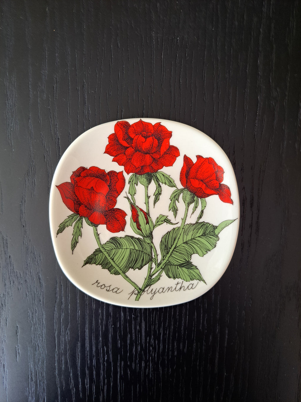Arabia Botanica Rosa Polyantha seinälautanen – Esteri Tomula