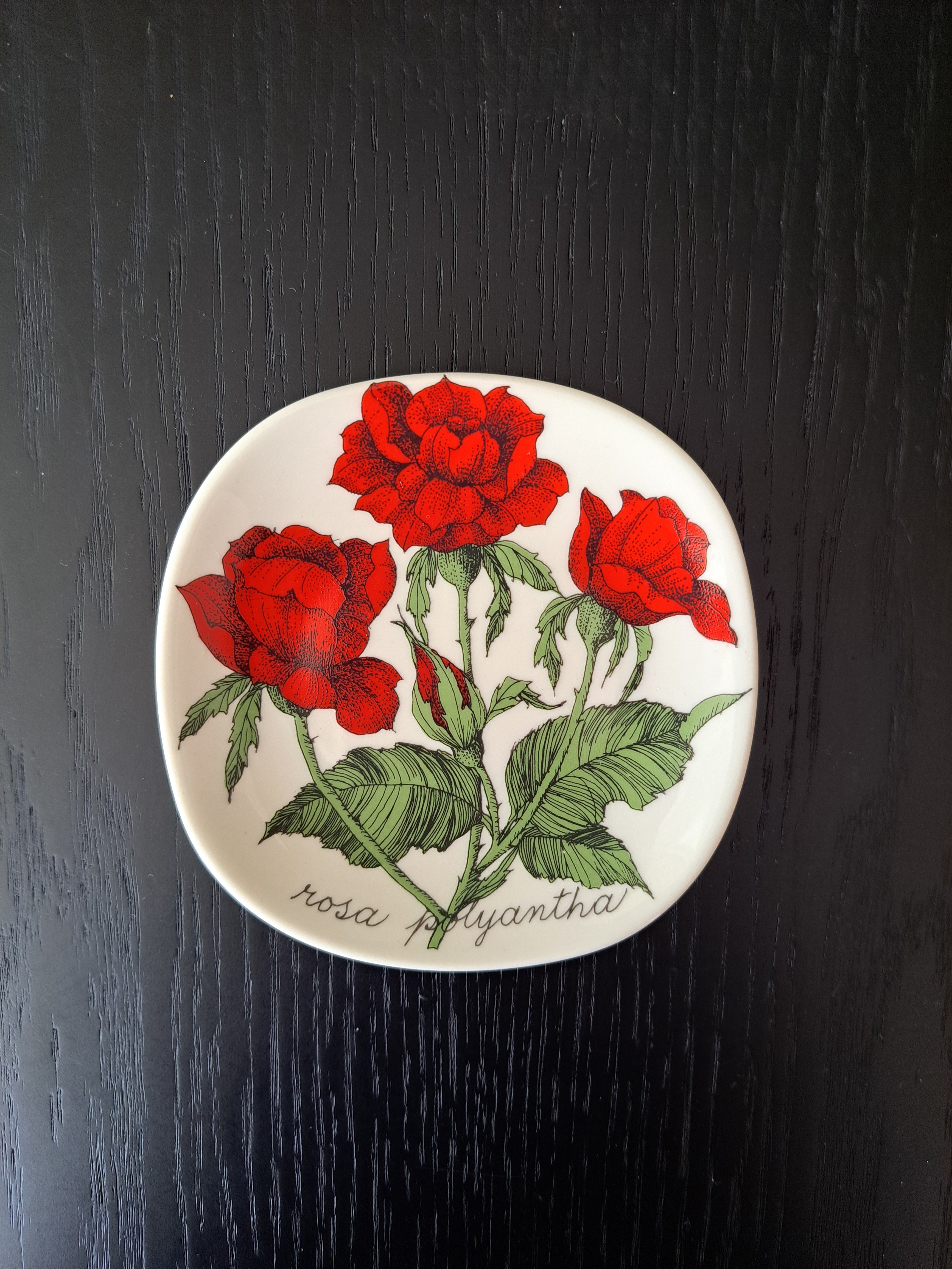 Arabia Botanica Rosa Polyantha seinälautanen – Esteri Tomula