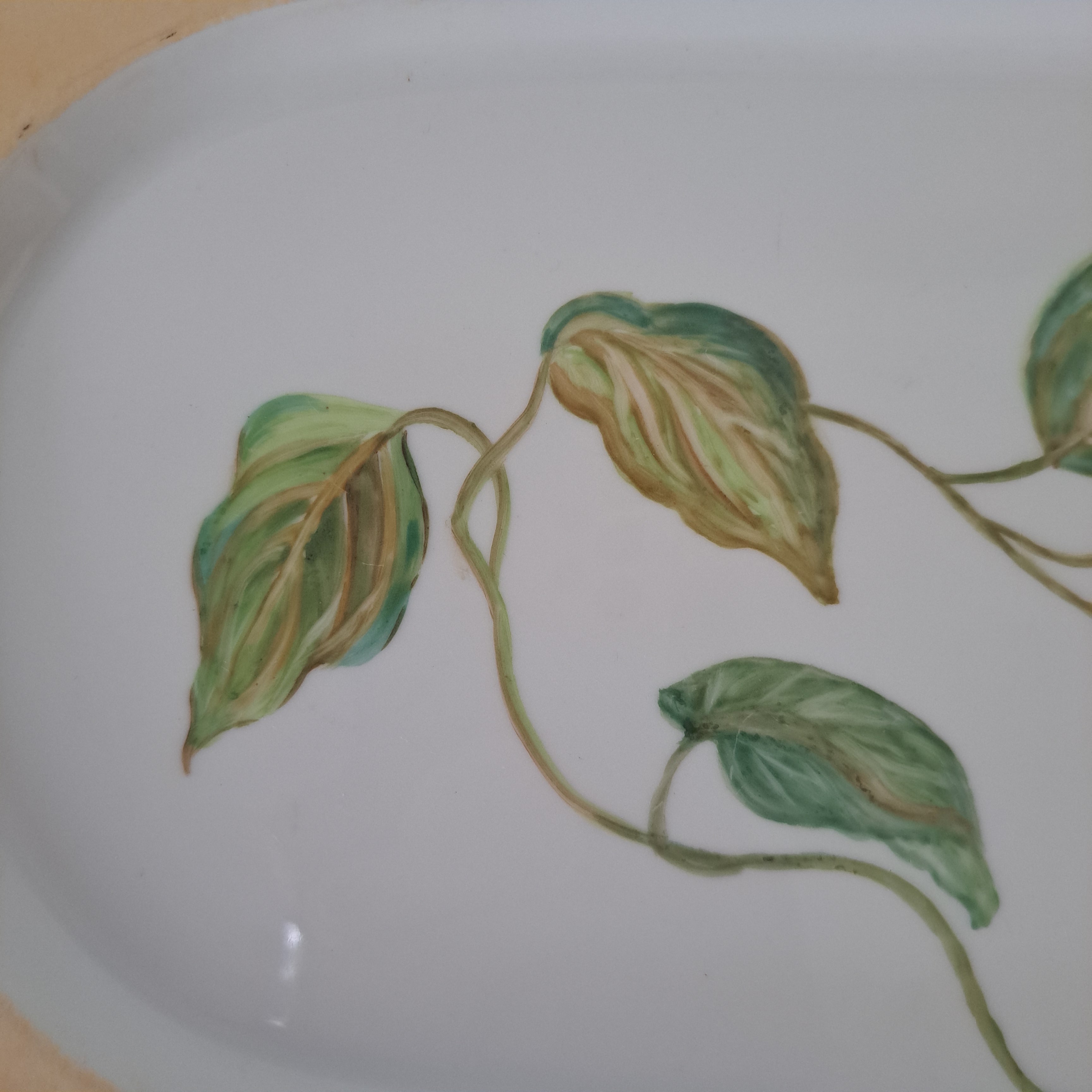 Tarjoiluastia, viiniköynnös