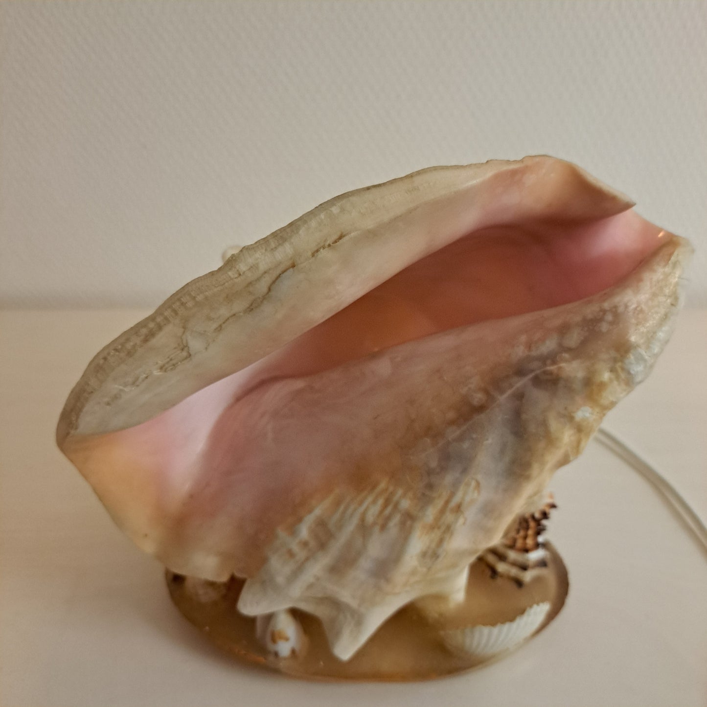 Simpukka pöytävalaisin