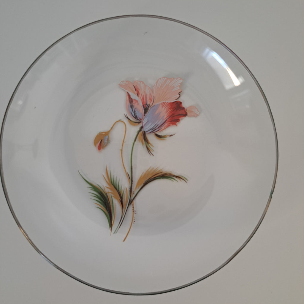 Vintage lasilautaset, 5 kpl