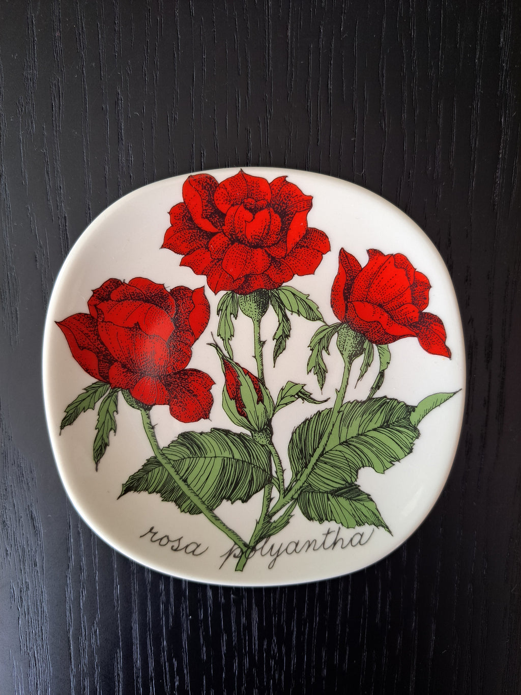 Arabia Botanica Rosa Polyantha seinälautanen – Esteri Tomula