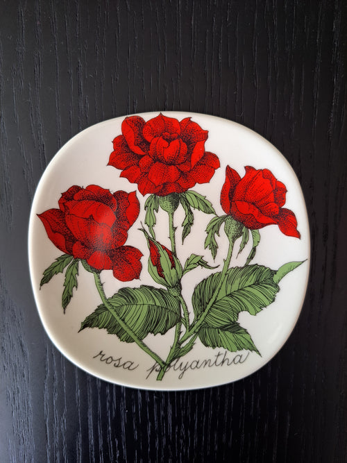 Arabia Botanica Rosa Polyantha seinälautanen – Esteri Tomula