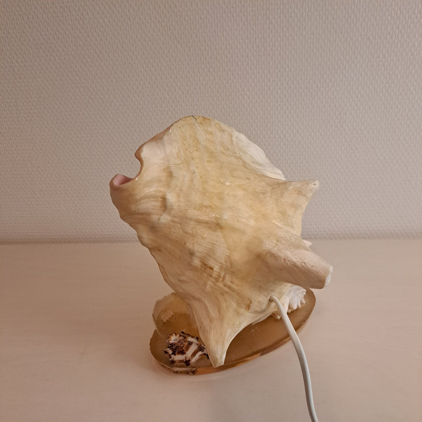 Simpukka pöytävalaisin