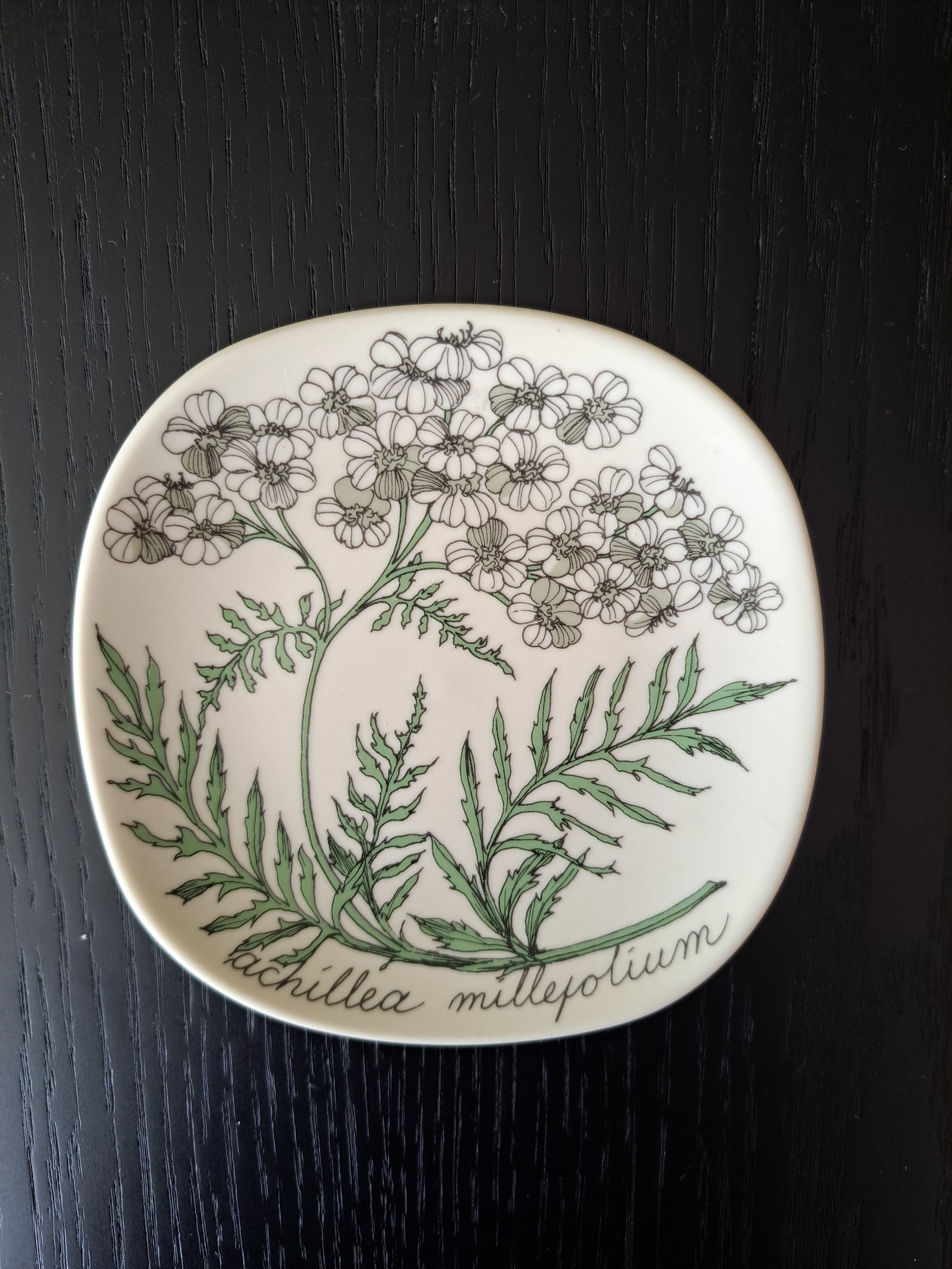 Arabia Botanica Siankärsämö seinälautanen – Esteri Tomula